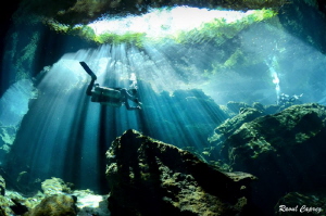 Diving in the light by Raoul Caprez 